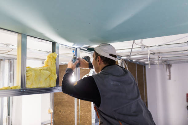 Best Insulation Replacement Services  in Redby, MN