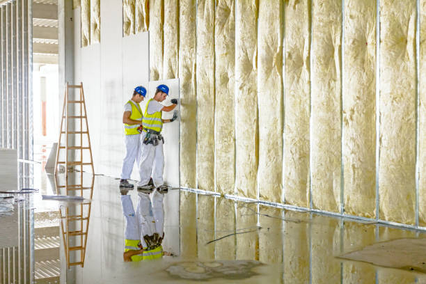 Best Wall Insulation Contractor  in Redby, MN